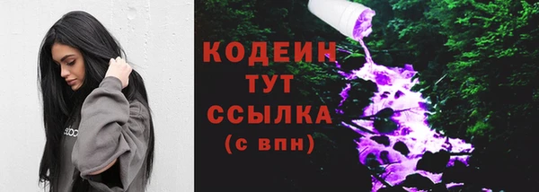 крисы Армянск
