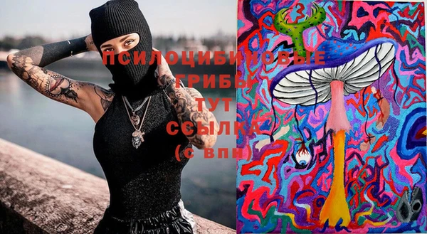 соль курить ск Аркадак